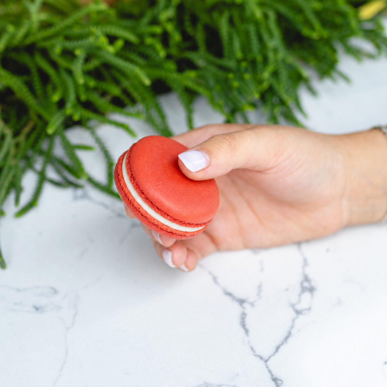 Red Velvet Macarons - Case (54ct)