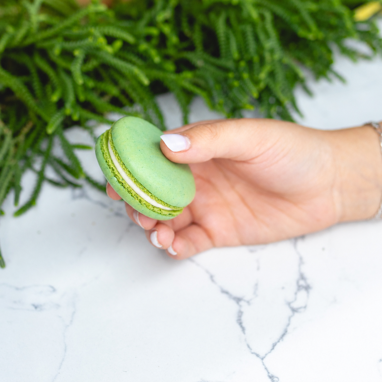 Elderflower Orange Macarons - Case (54ct)