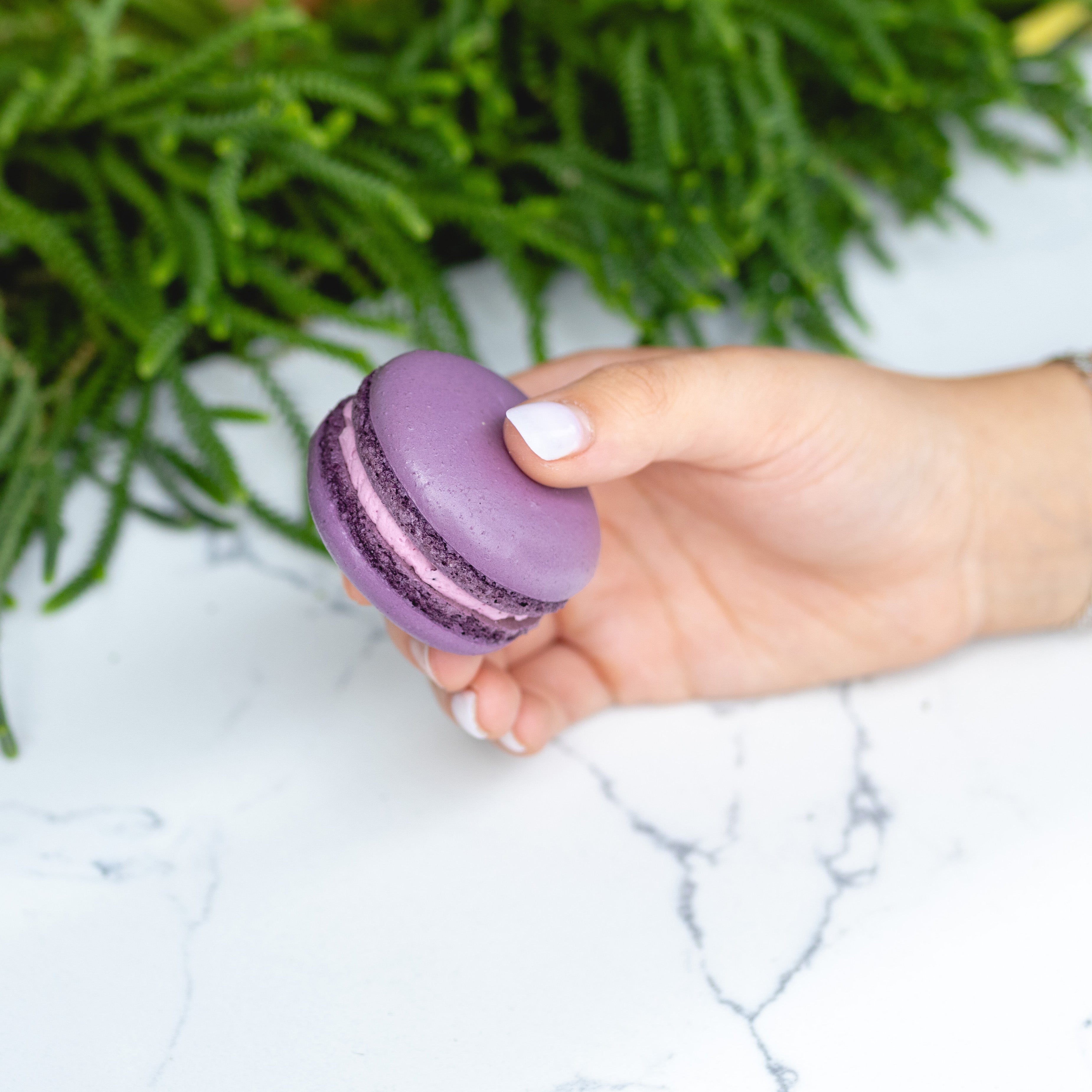 Wild Huckleberry Macarons - Case (54ct)