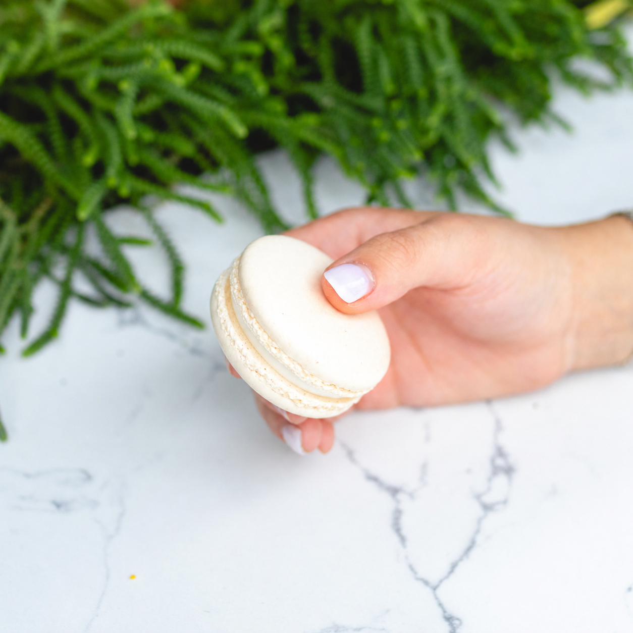 Vanilla Macarons - Case (54ct)