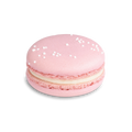 Rosewater Macarons - Case (54ct)