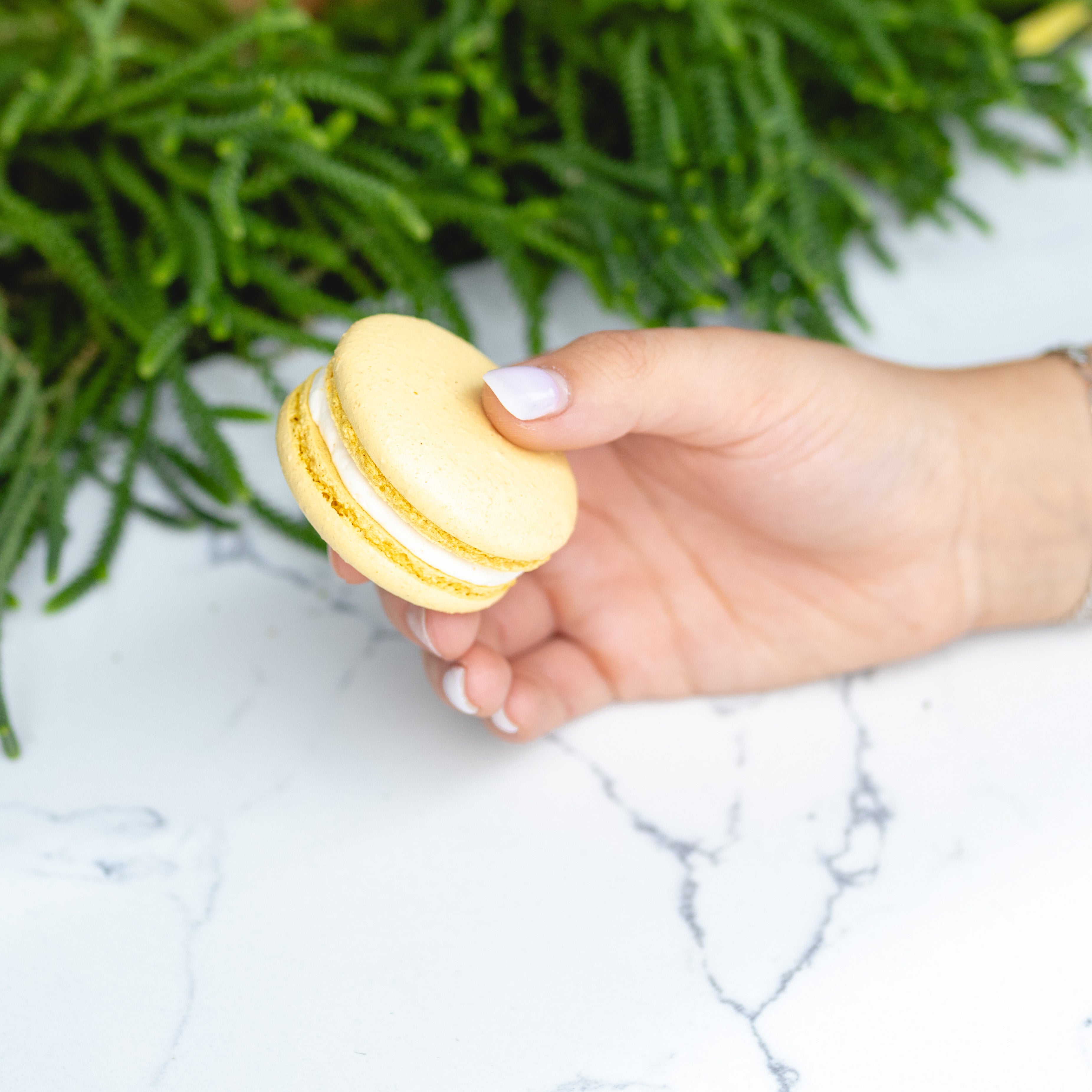 Pineapple Macarons - Case (54ct)