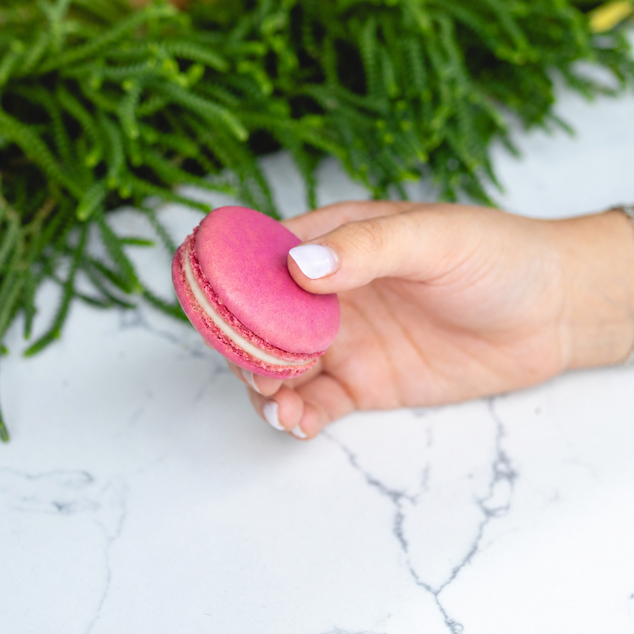 Raspberry Cheesecake Macarons - Case (54ct)