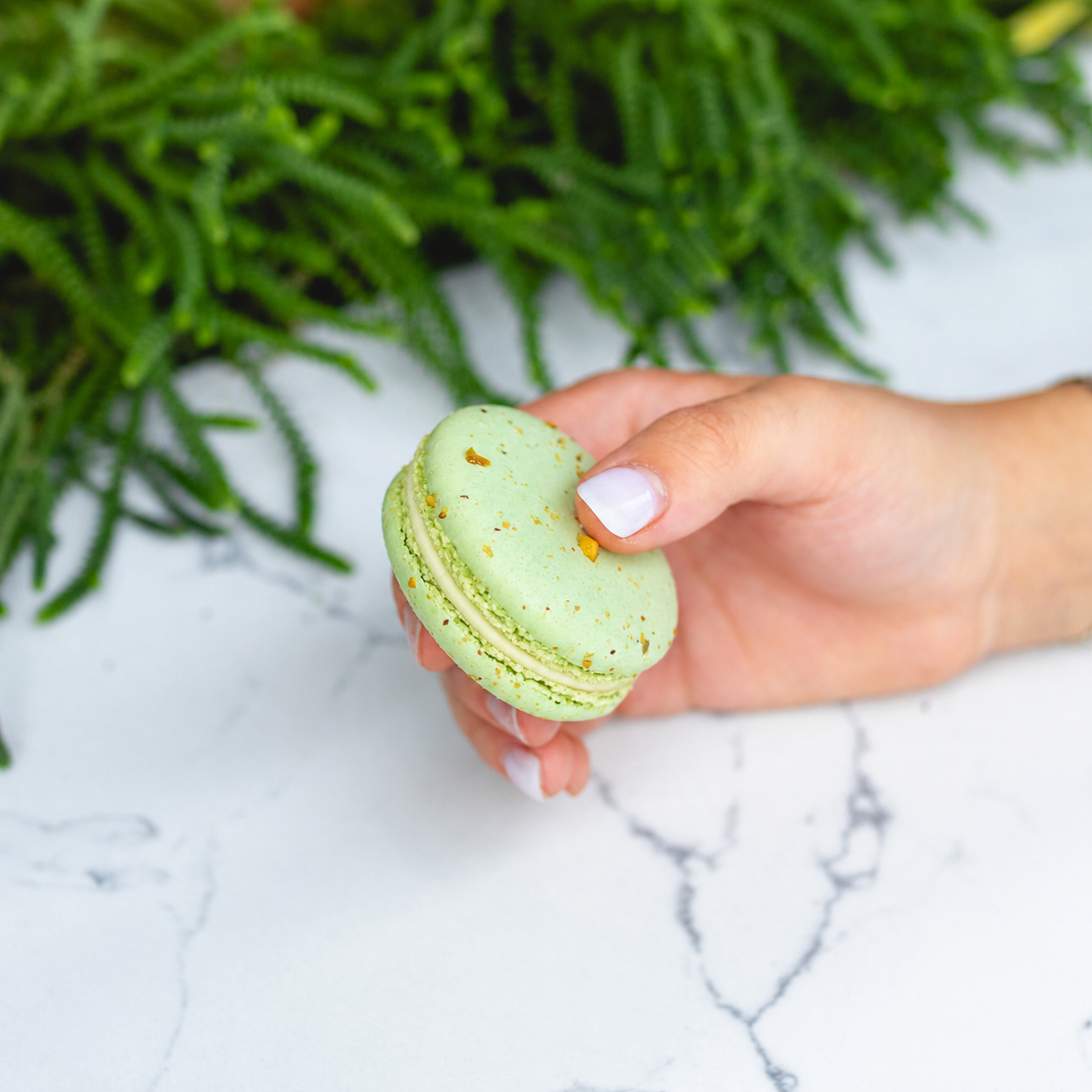 Sicilian Pistachio Macarons - Case (54ct)